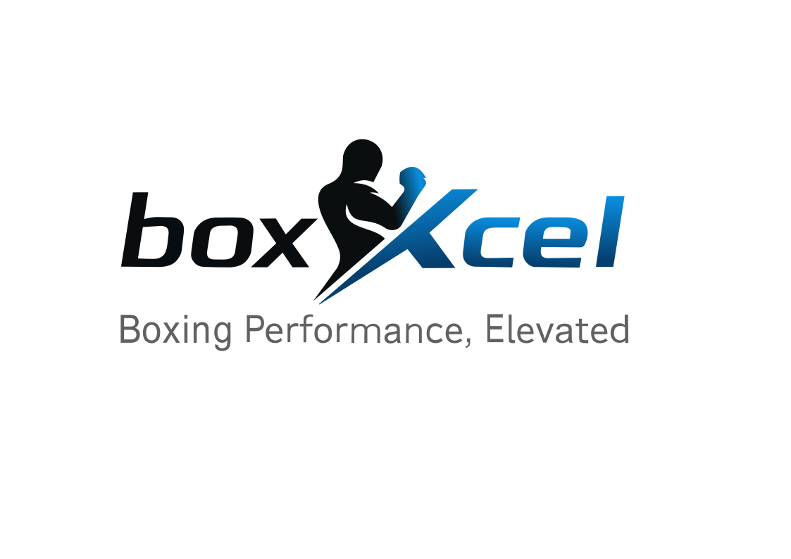 boxXcel Logo